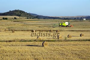 Πίνακες κατάταξης των αγροτών για το υπομέτρο 6.3