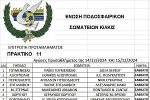 Αγώνες της ΕΠΣ Κιλκίς στις 14-15/12/2024, οι παρατηρητές και οι διαιτητές που θα διευθύνουν