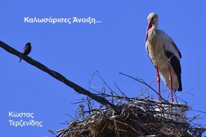 Καλωσορίζοντας την Άνοιξη...