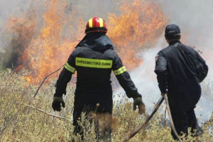 Υπό μερικό έλεγχο πυρκαγιά στο δήμο Παιονίας Κιλκίς