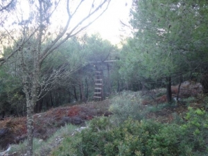 Στα … όπλα για το ανοιξιάτικο κυνήγι στη Ζάκυνθο