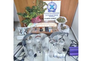 Καλλιεργούσε 39 δενδρύλλια κάνναβης σε αποθήκη – Συνελήφθη από το Α.Τ. Παιονίας