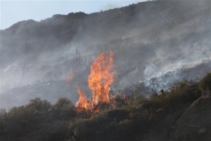 Σε ύφεση η φωτιά σε δασική έκταση στην Κερατέα Αττικής