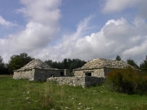 Παράταση του χρόνου νομιμοποίησης σταβλικών εγκαταστάσεων