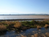 Άγριο δούλεμα