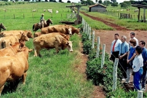 Σήμα κινδύνου εκπέμπουν οι κτηνίατροι για τους ελέγχους