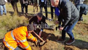 Θεσσαλονίκη: Δεντροφύτευση στο Σέιχ Σου από Σκέρτσο και Αμυρά