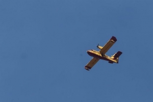 Πανούσης: Κυριακάτικο κήρυγμα για τις φωτιές ελλείψει... Canadair