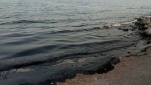 Άμεση Αντιμετώπιση Διαρροής Λυμάτων στην Ιερισσό: Επανέναρξη Κολύμβησης με Προϋποθέσεις