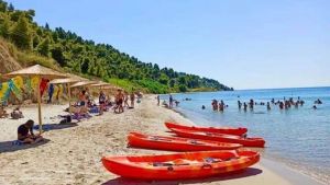 Μεγάλη κίνηση από την ΧΑΝΘ: Ανοίγει την κατασκήνωση για τα παιδιά των πυρόπληκτων