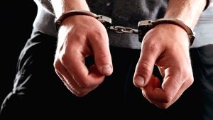 Σύλληψη ατόμου για καπνίσμα μελισσών σε δασική περιοχή