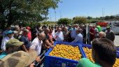 Επίσκεψη του Διονύση Σταμενίτη στις Πληγείσες Περιοχές της Ημαθίας από Χαλαζόπτωση