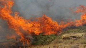 Τρίλοφος: Σε εξέλιξη η πυρκαγία