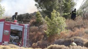 Υπό έλεγχο οι πυρκαγιές σε Ξάνθη και Άσσηρο