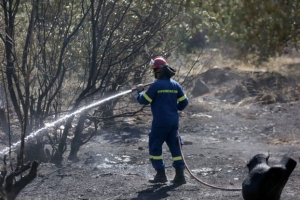 Δεύτερη πυρκαγιά στην Εύβοια, ξέσπασε στα Πολιτικά