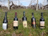 Περί οίνων ο λόγος