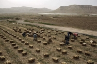 Ισραήλ: Προσάρτηση γης στην κατεχόμενη Δυτική Όχθη