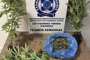 Κιλκίς: Καλλιεργούσε στο σπίτι του έξι δενδρύλλια κάνναβης