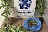 Κιλκίς: Καλλιεργούσε στο σπίτι του έξι δενδρύλλια κάνναβης