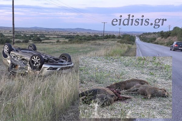 Δυο νεκροί εθνοφύλακες σε σύγκρουση με περιπολικό και αγέλη αγριογούρουνων στο Κιλκίς