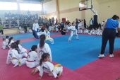 To 2o kids cup itf ITF TAEKWON DO Sarisa Paionias πραγματοποιήθηκε στο κλειστό γυμναστήριο Αγίου Πέτρου