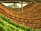 Συζητήθηκαν στο Ειρηνοδικείο Πολυκάστρου τα ασφαλιστικά μέτρα της ΚΑΠΝΙΚΗΣ