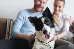 Αυτά συμβαίνουν στη «βάρβαρη» Αμερική