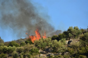 Μεγάλη φωτιά σε υπαίθριο χώρο στον Γέρακα Αττικής