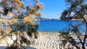 Τραυματισμός 9χρονου σε θαλάσσιο πάρκο στην Καβάλα