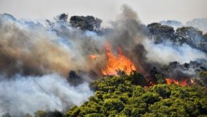 Οι άνεμοι αναζωπυρώνουν εστίες της πυρκαγιάς στους οικισμούς Μελίας-Νίψας