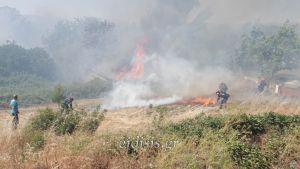 Κινδύνεψε να καεί το Χέρσο Κιλκίς