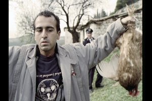 Πόσες κότες δικαιούστε να εκτρέφετε;