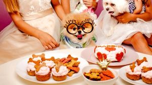Γιορτές γενεθλίων για σκύλους με τούρτες και μπουφέ για τους τετράποδους καλεσμένους