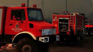 Πέλλα: Φωτιά σε ποιμνιοστάσιο στον οικισμό Βρυτά, στην Έδεσσα, έκαψε 30 πρόβατα