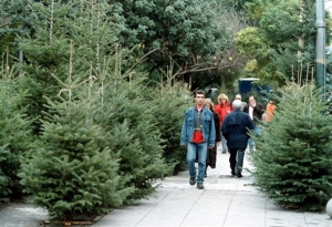 Γιατί το φυσικό δέντρο είναι πιο «πράσινο»από το πλαστικό