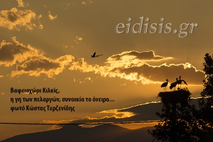 Βαφειοχώρι: Η γειτονιά των πελαργών