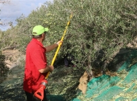 Aποζημιώσεις 7,5 εκατ. ευρώ σε δικαιούχους του ΕΛΓΑ