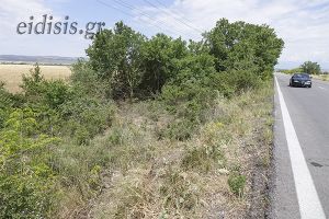 Σοκάρουν τα στοιχεία του τροχαίου δυστυχήματος με τα δυο ηλικιωμένα αδέλφια (Βίντεο - φωτό)