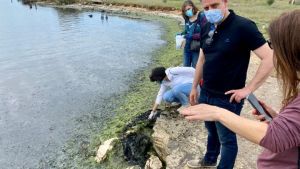 Θεσσαλονίκη: Αυτοψία στη θαλάσσια περιοχή του δυτικού Θερμαϊκού Κόλπου