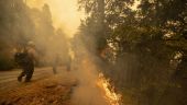 Εκκενώθηκε κοινότητα κοντά στο Βερολίνο λόγω δασικής πυρκαγιάς