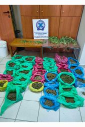 Νέα επιτυχία των αστυνομικών της Παιονίας με σύλληψη στη Θεσσαλονίκη για ναρκωτικά