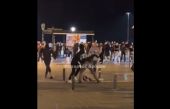 Θεσσαλονίκη: Βίντεο ντοκουμέντο από την άγρια επίθεση σε ανήλικο στην πλατεία Αριστοτέλους