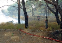 Yπό μερικό έλεγχο η πυρκαγιά στη Θάσο