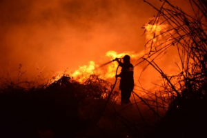 Καίγεται για δεύτερη μέρα η περιοχή Πισσώνα Ευβοίας
