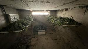 Θεσσαλονίκη: 44χρονος είχε μετατρέψει το σπίτι του σε χώρο αποξήρανσης κάνναβης