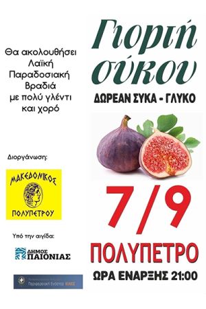 Γιορτή Σύκου 2024 στο Πολύπετρο ν. Κιλκίς