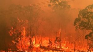 Ανασκόπηση 2020: Η “κλιματική κατάρρευση” είχε μεγάλο κόστος για πλούσιους και φτωχούς