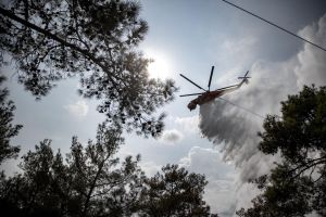 Θεσσαλονίκη: Ξέσπασε φωτιά στο Σέιχ Σου – Επενέβη άμεσα η πυροσβεστική