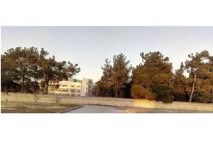 Το δασάκι του Νοσοκομείου Κιλκίς