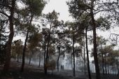 Θεσσαλονίκη: Ραντάρ πυρανίχνευσης στο Σέιχ Σου – Προετοιμασίες για την αντιπυρική περίοδο